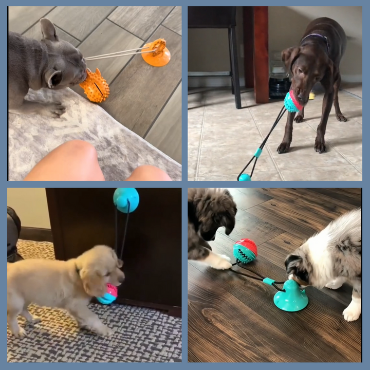 FunBooster™ – Nie wieder Langeweile! Hundespielzeug