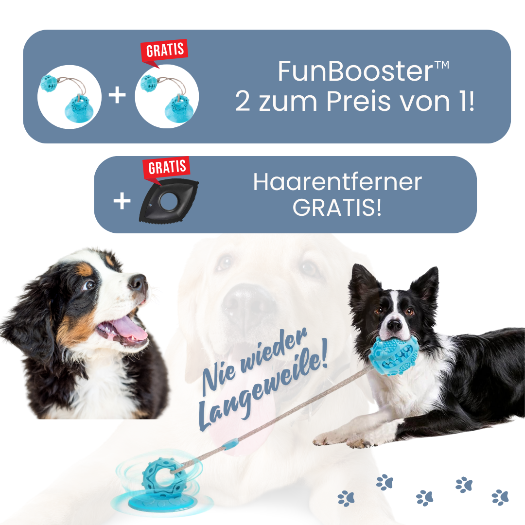 FunBooster™ – Nie wieder Langeweile! Hundespielzeug