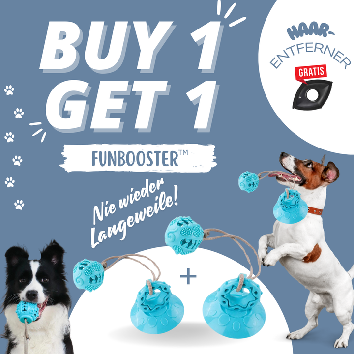 FunBooster™ – Nie wieder Langeweile! Hundespielzeug