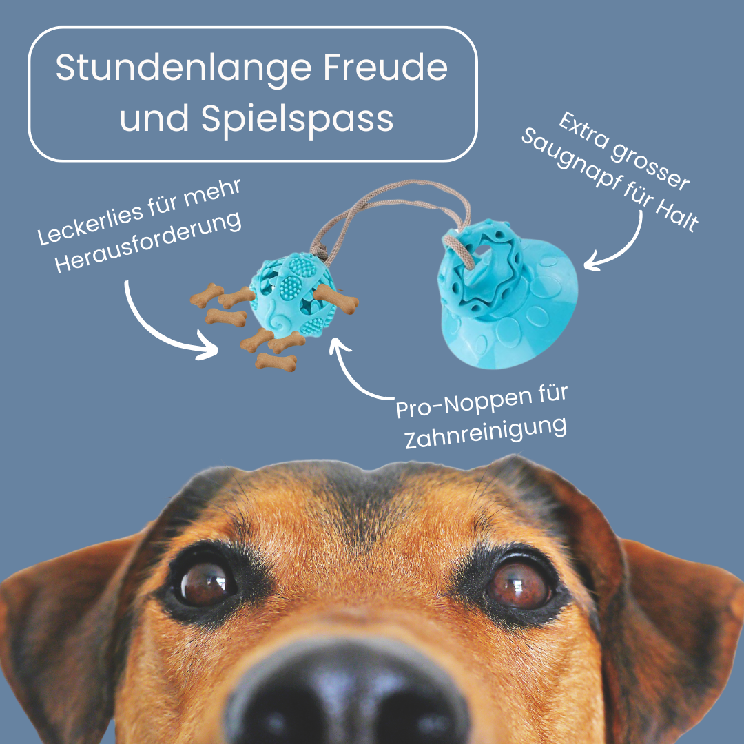 FunBooster™ – Nie wieder Langeweile! Hundespielzeug