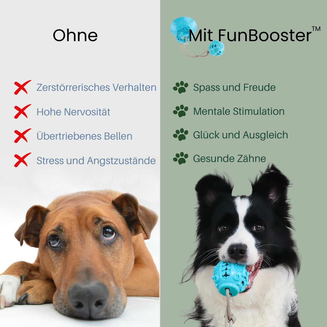 FunBooster™ – Nie wieder Langeweile! Hundespielzeug